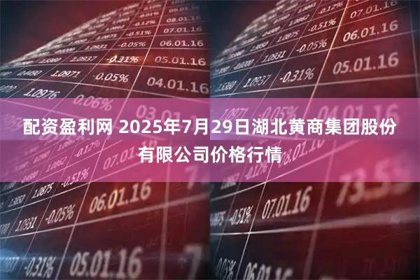 配资盈利网 2025年7月29日湖北黄商集团股份有限公司价格行情